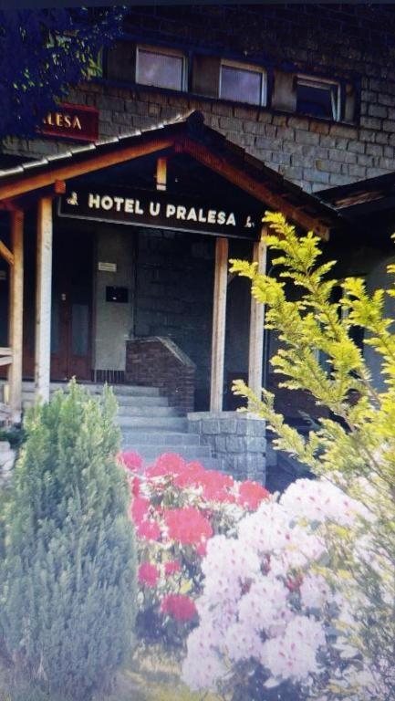 Kopretina Apartment Cerne Udoli Exterior foto